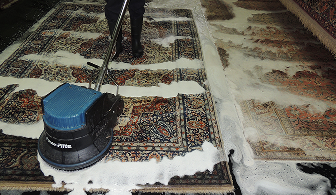 Rug Cleaning Stain Removal Protection And Pet Care