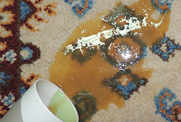 Fiber Protection Services