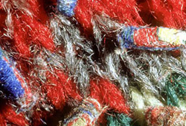 Moth Protection Services