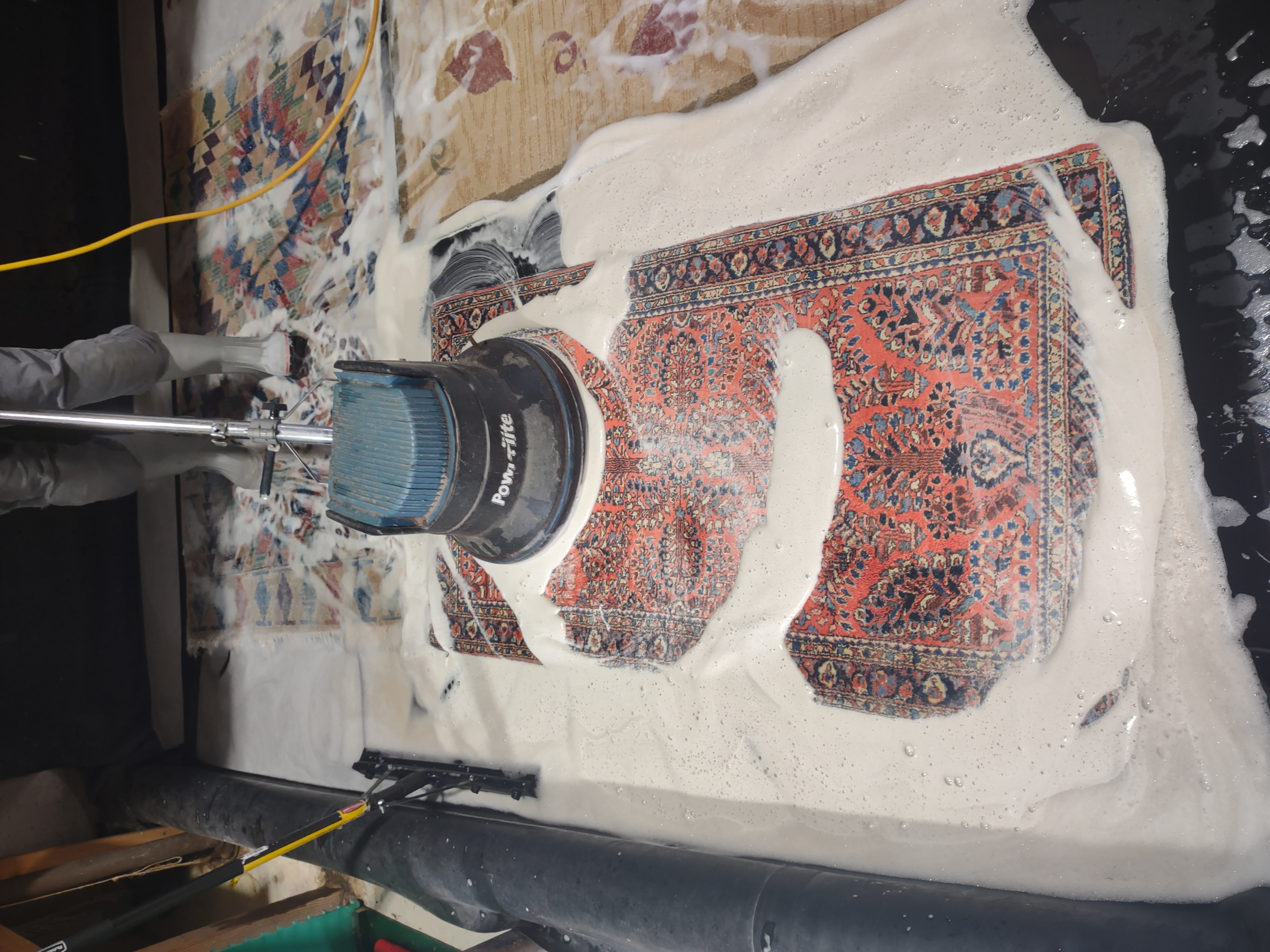 Progress photo of washing a fine Sarouk rug from Bill R.