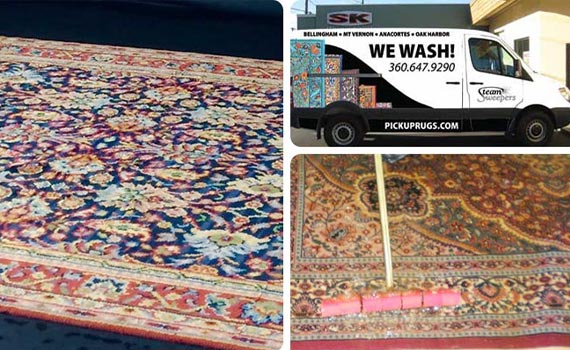 rug cleaning, odor removal and delivery