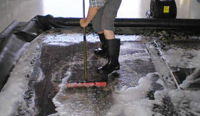 rug cleaning professionally