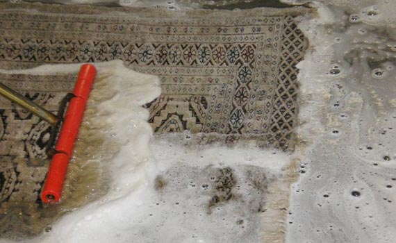 professional cleaner cleaning rug
