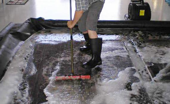rug cleaning professionally with equipment