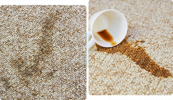 Rug Stain Removal in Bellingham & Mount Vernon | Steam Sweepers