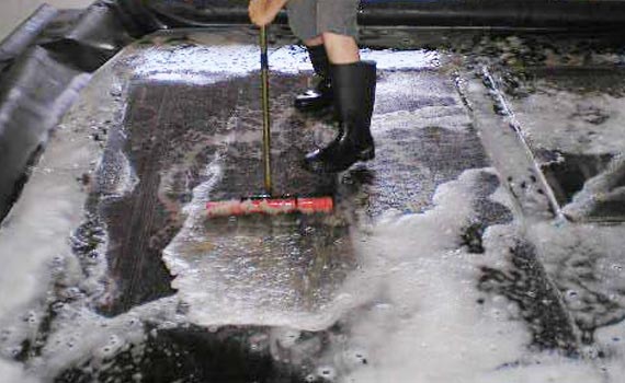 worker cleaning rug with equipment