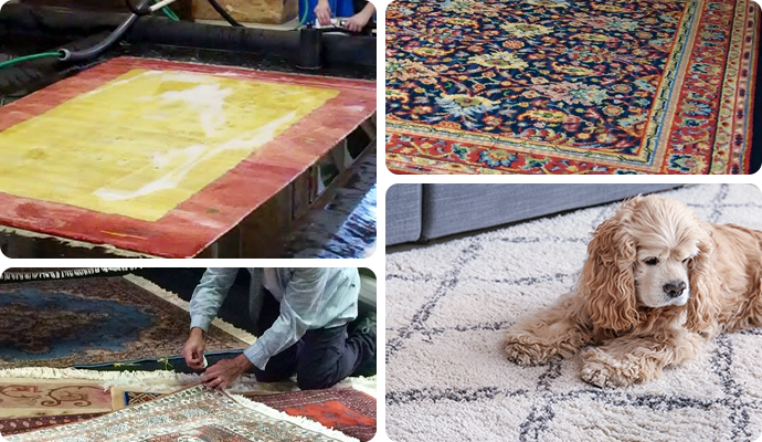 rug services in Bellingham