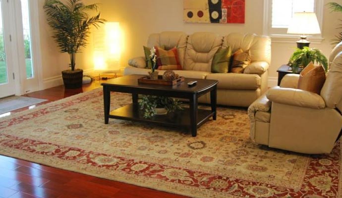 rug on living area