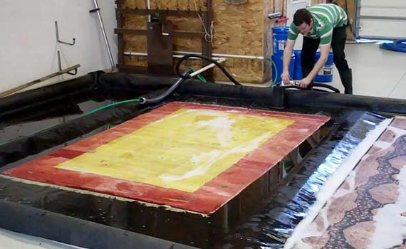rug cleaning professionally with equipment